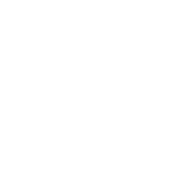 Boston_Boxty_Logo-removebg-preview2